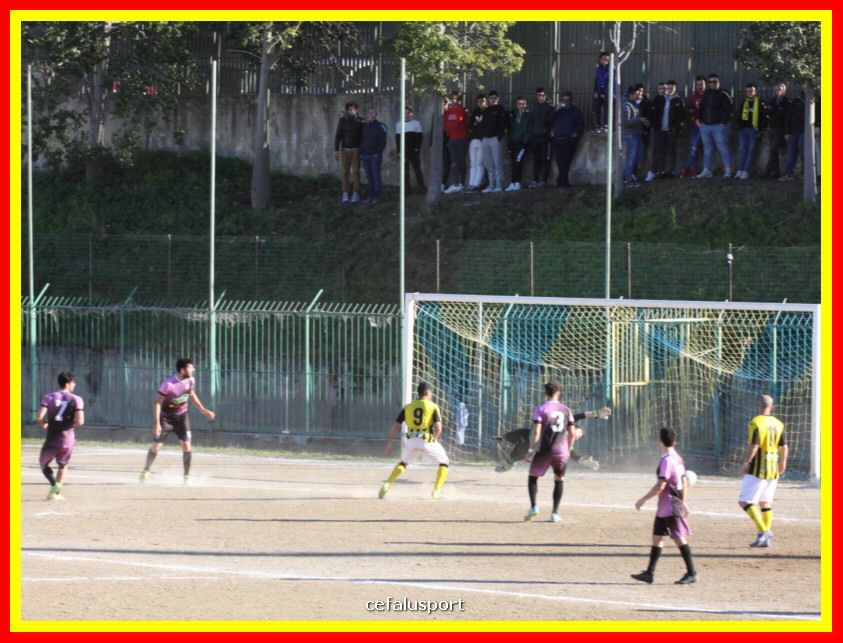 190310 Cephal_Torrenov 138_tn.jpg
